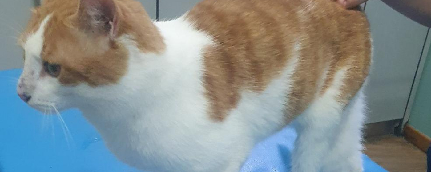 Neues von Kater Max